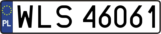 WLS46061