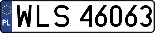 WLS46063