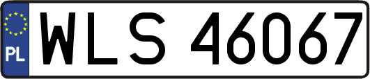 WLS46067
