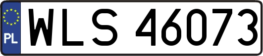 WLS46073