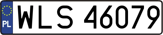WLS46079