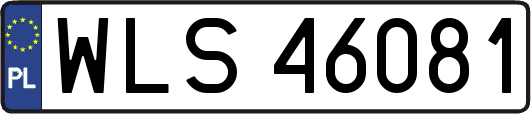 WLS46081