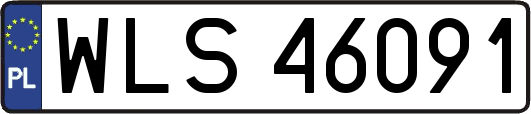 WLS46091