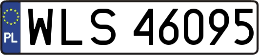 WLS46095