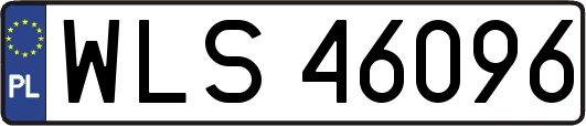 WLS46096