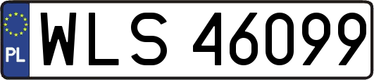 WLS46099