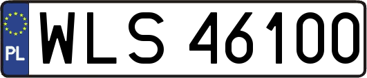 WLS46100