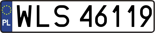 WLS46119