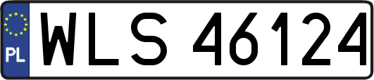 WLS46124