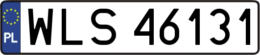 WLS46131