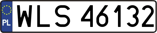 WLS46132