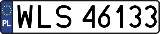 WLS46133