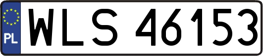 WLS46153