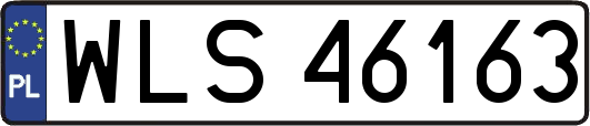 WLS46163