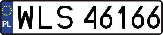 WLS46166