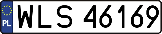 WLS46169