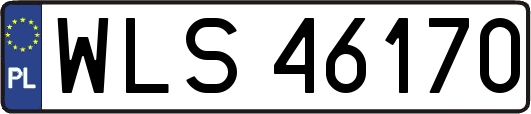 WLS46170