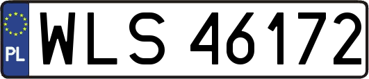 WLS46172