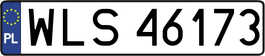 WLS46173