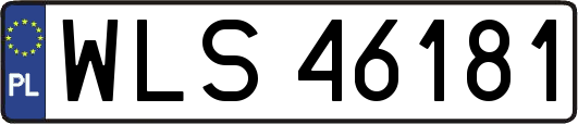 WLS46181