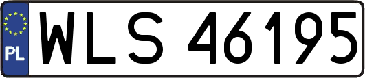 WLS46195