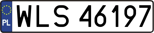 WLS46197