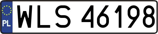 WLS46198