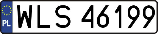 WLS46199