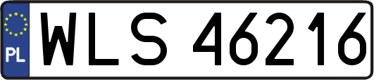 WLS46216