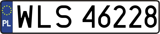 WLS46228