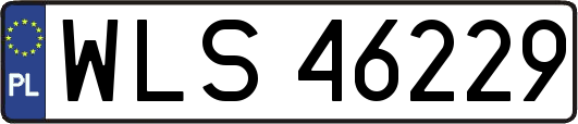 WLS46229