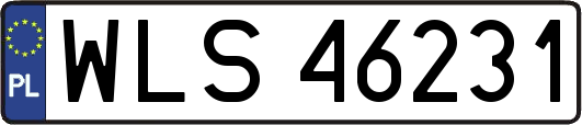 WLS46231