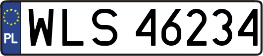 WLS46234