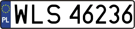 WLS46236