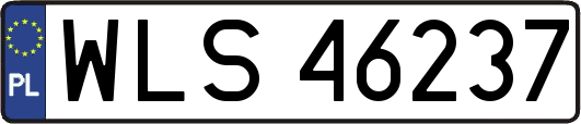 WLS46237