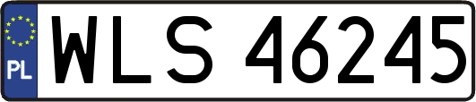 WLS46245