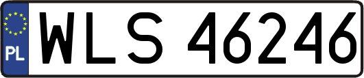WLS46246