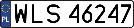 WLS46247