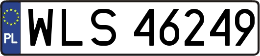 WLS46249