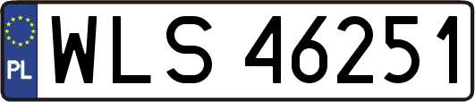 WLS46251