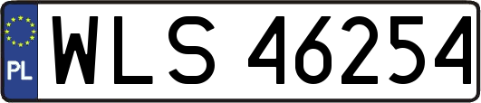 WLS46254