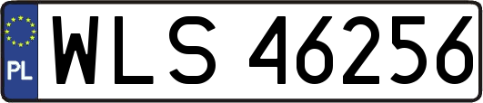 WLS46256