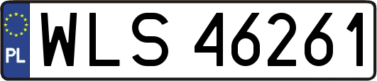 WLS46261