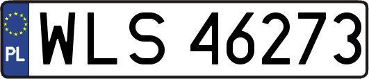 WLS46273
