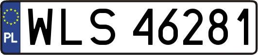 WLS46281