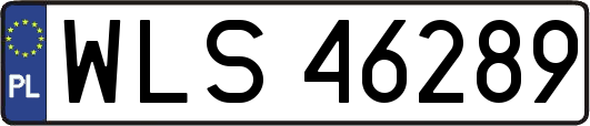 WLS46289