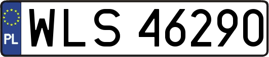 WLS46290