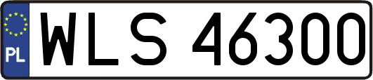 WLS46300