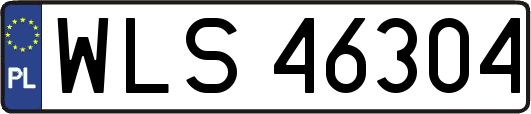 WLS46304