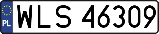 WLS46309